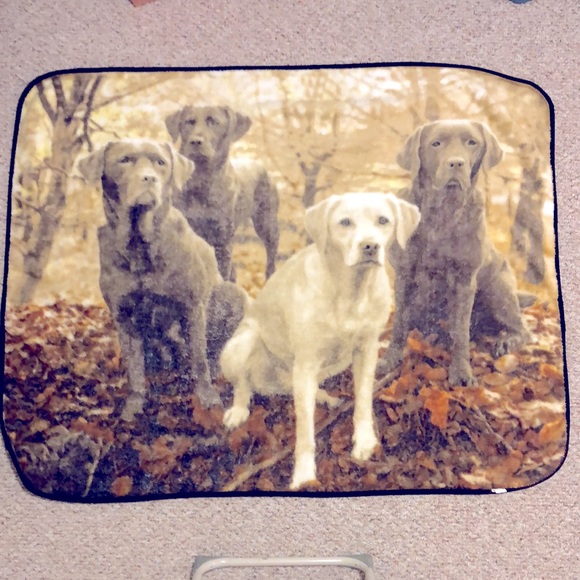 Labrador Retrievers Raschel Throw Blanket - Picture 2 of 3